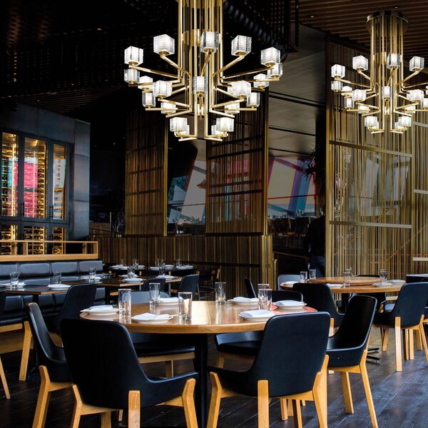 Steady Desk logo with green desk plants